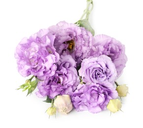 Photo of Bouquet of beautiful violet eustoma flowers isolated on white