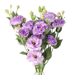 Photo of Beautiful violet eustoma flowers with green leaves isolated on white