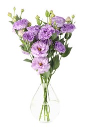 Photo of Vase with beautiful violet eustoma flowers isolated on white