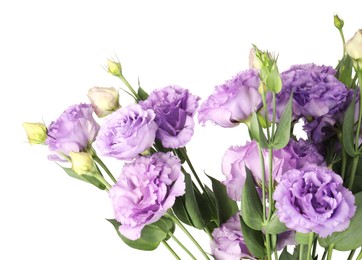 Photo of Bouquet of violet eustoma flowers with green leaves isolated on white