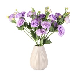 Photo of Vase with beautiful violet eustoma flowers isolated on white