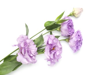 Photo of Beautiful violet eustoma flowers with green leaves isolated on white, top view