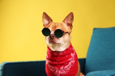 Photo of Cute Chihuahua dog with sunglasses and red neckerchief on armchair against golden background, closeup