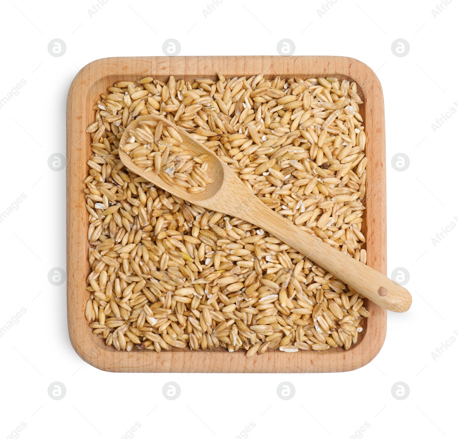 Photo of Oat grains and spoon isolated on white, top view