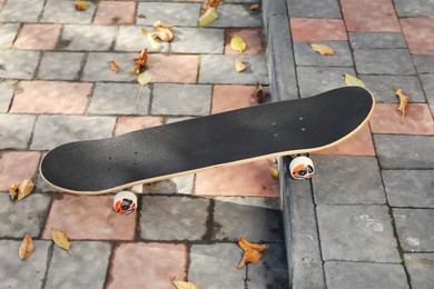 Photo of One modern skateboard on paved pathway outdoors