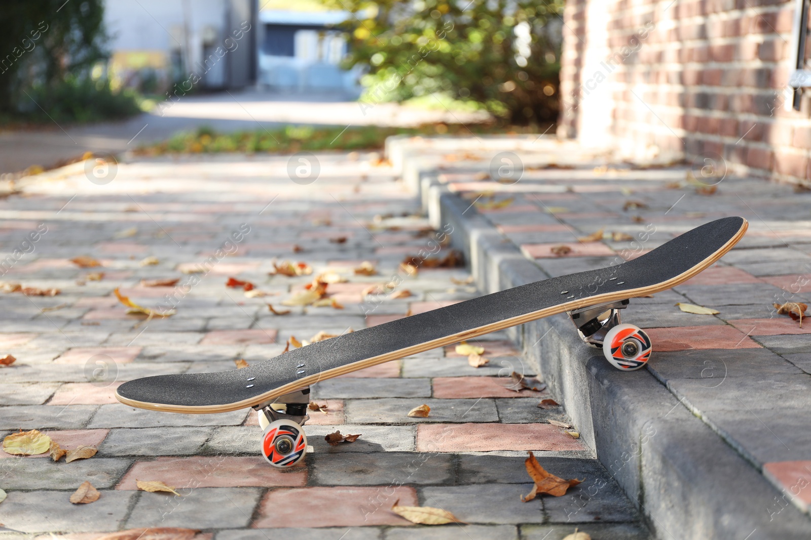 Photo of One modern skateboard on paved pathway outdoors