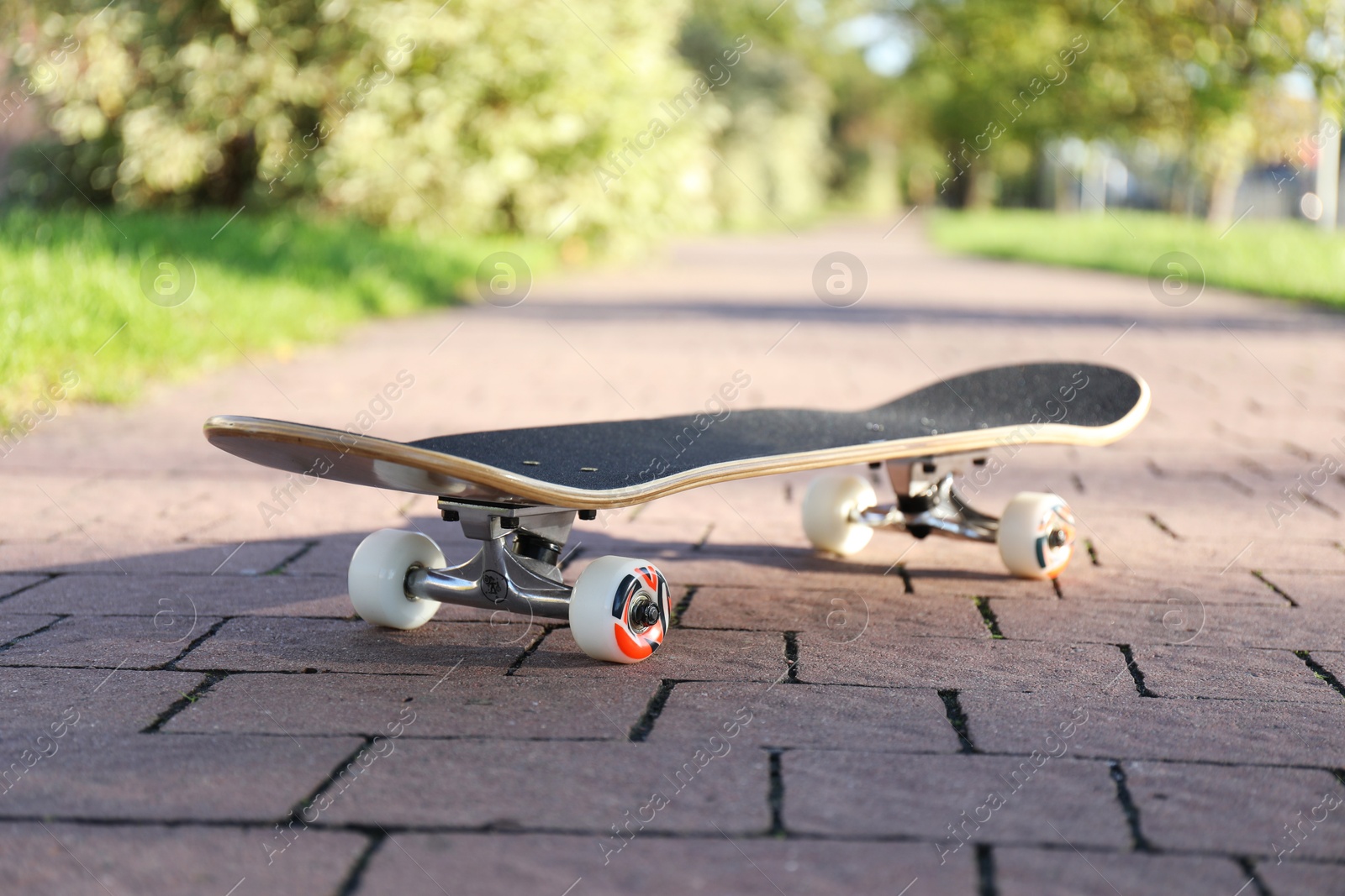 Photo of One modern skateboard on paved pathway outdoors, closeup