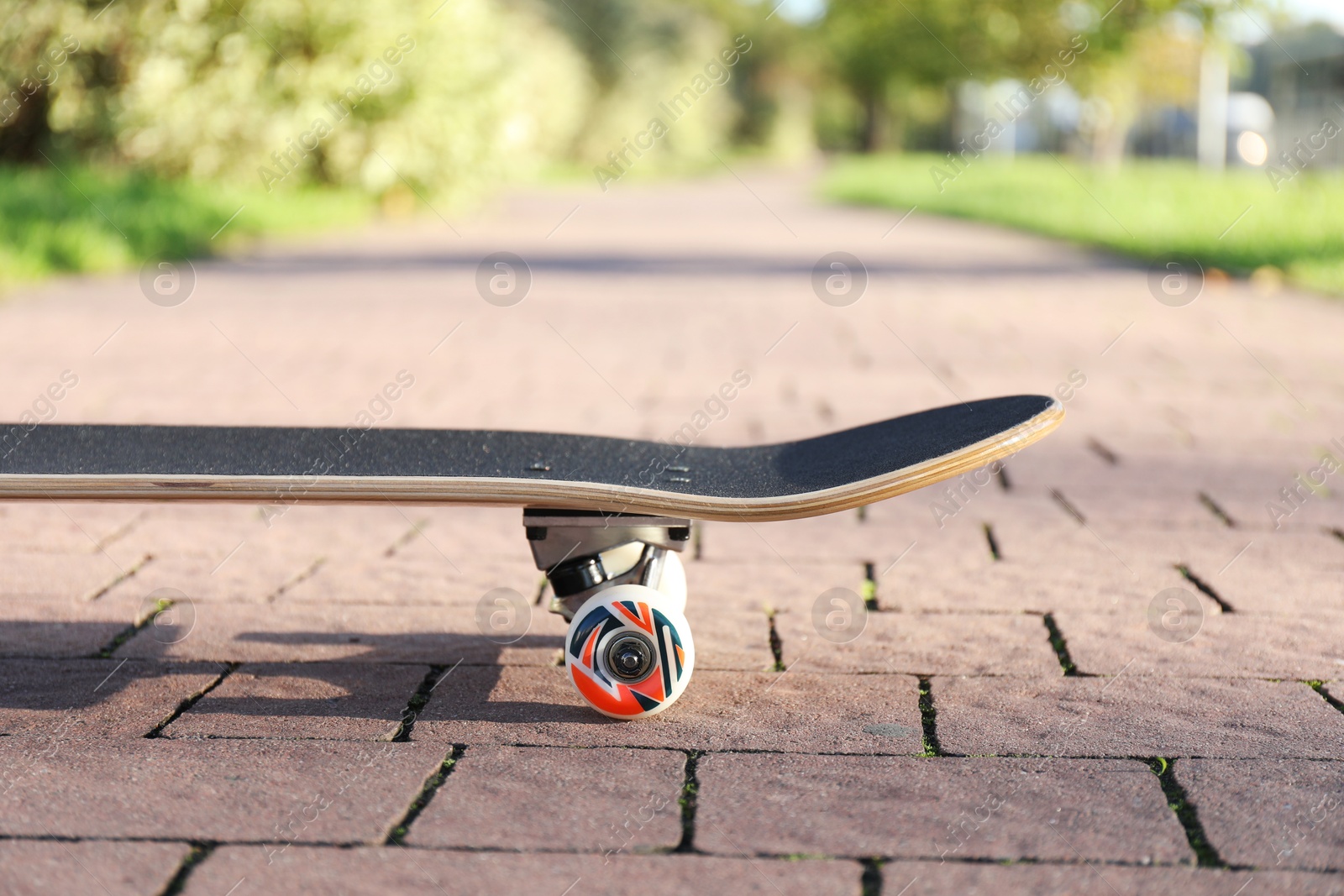 Photo of One modern skateboard on paved pathway outdoors, closeup