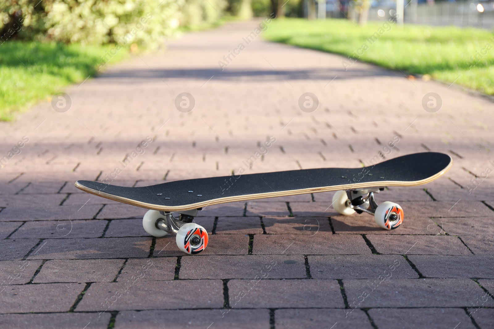 Photo of One modern skateboard on paved pathway outdoors