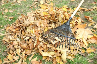 Photo of Fan rake and pile of fallen leaves on green grass