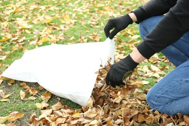 Photo of Man gathering fallen leaves into bag outdoors, closeup