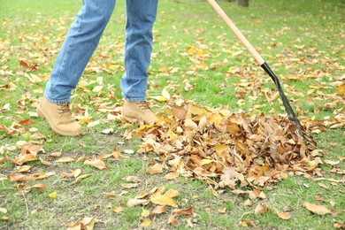 Photo of Man gathering fallen leaves with fan rake outdoors, closeup