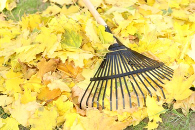 Photo of Fan rake and pile of fallen leaves on green grass