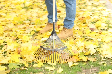 Photo of Man gathering fallen leaves with fan rake outdoors, closeup