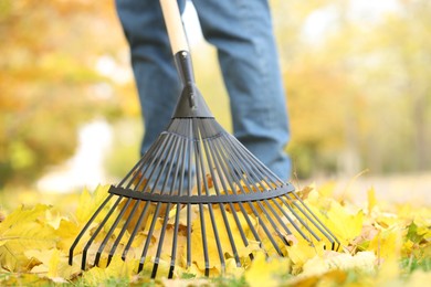 Photo of Man gathering fallen leaves with fan rake outdoors, closeup