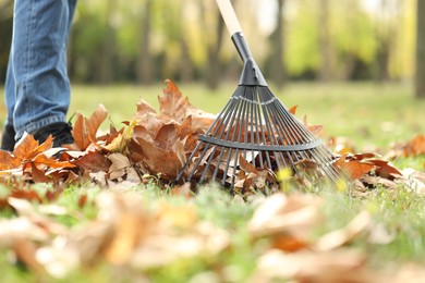 Photo of Man gathering fallen leaves with fan rake outdoors, closeup