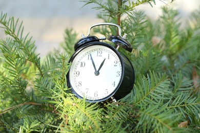 Photo of Autumn time. Alarm clock on beautiful branches, closeup