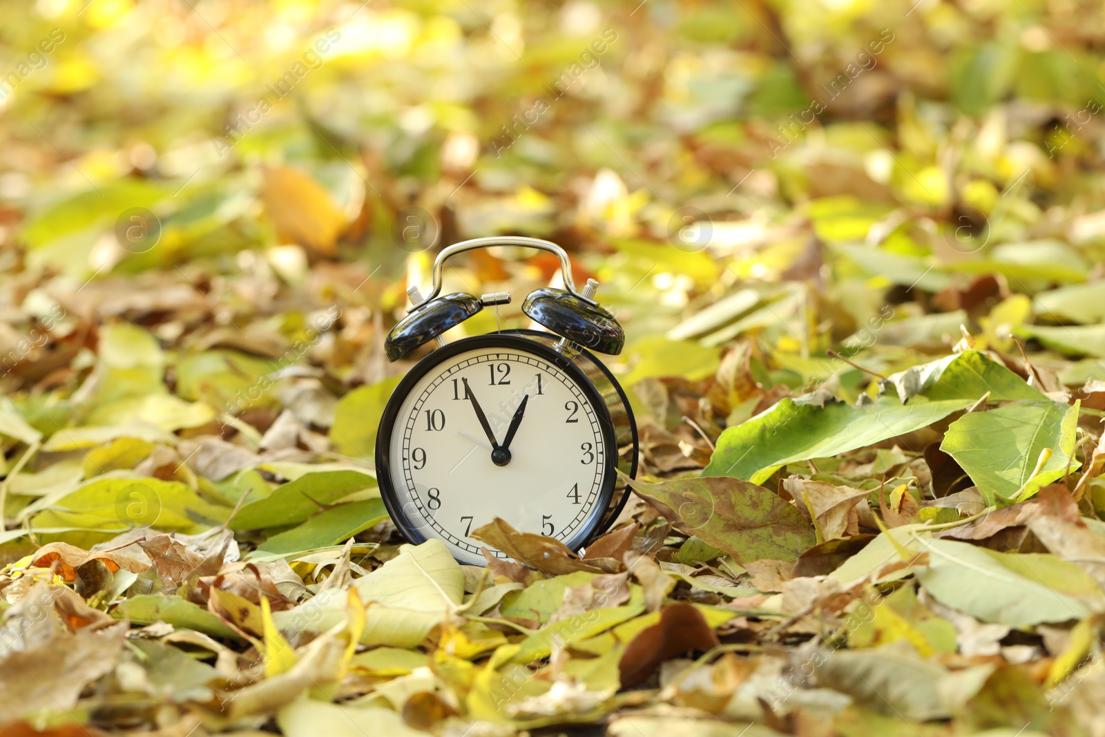 Photo of Autumn time. Alarm clock on fallen leaves