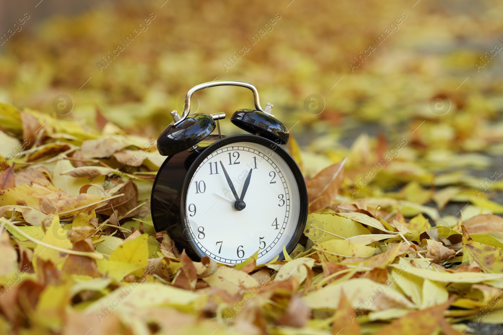 Photo of Autumn time. Alarm clock on fallen leaves, closeup