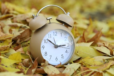 Photo of Autumn time. Alarm clock on fallen leaves, closeup