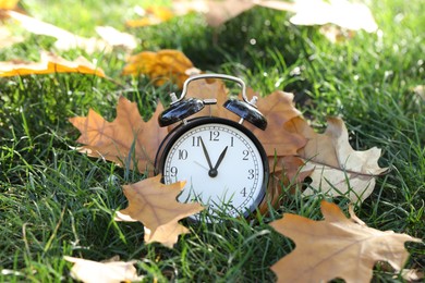 Autumn time. Alarm clock among fallen leaves on green grass on sunny day