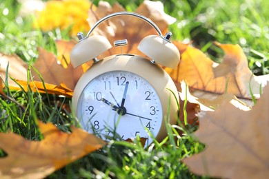 Photo of Autumn time. Alarm clock among fallen leaves on green grass on sunny day, closeup