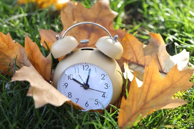 Autumn time. Alarm clock among fallen leaves on green grass on sunny day, closeup