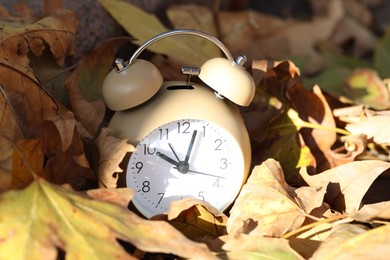 Photo of Autumn time. Alarm clock among fallen leaves on sunny day, closeup