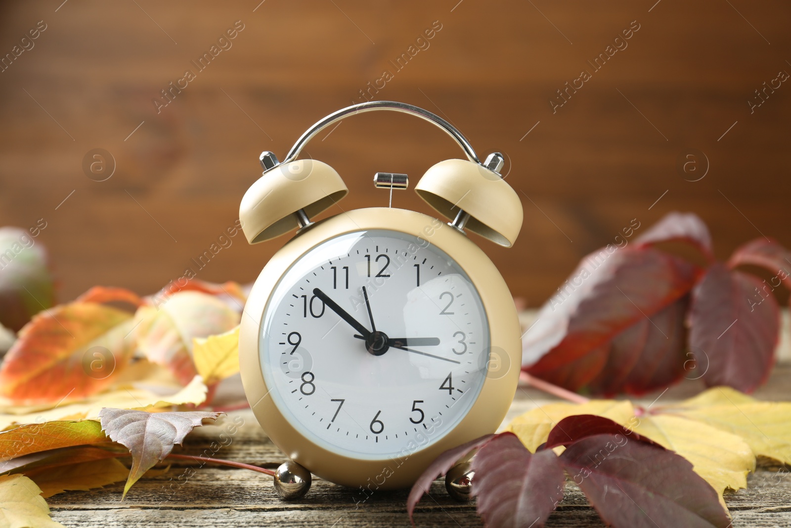 Photo of Autumn time. Alarm clock among leaves on wooden table, closeup