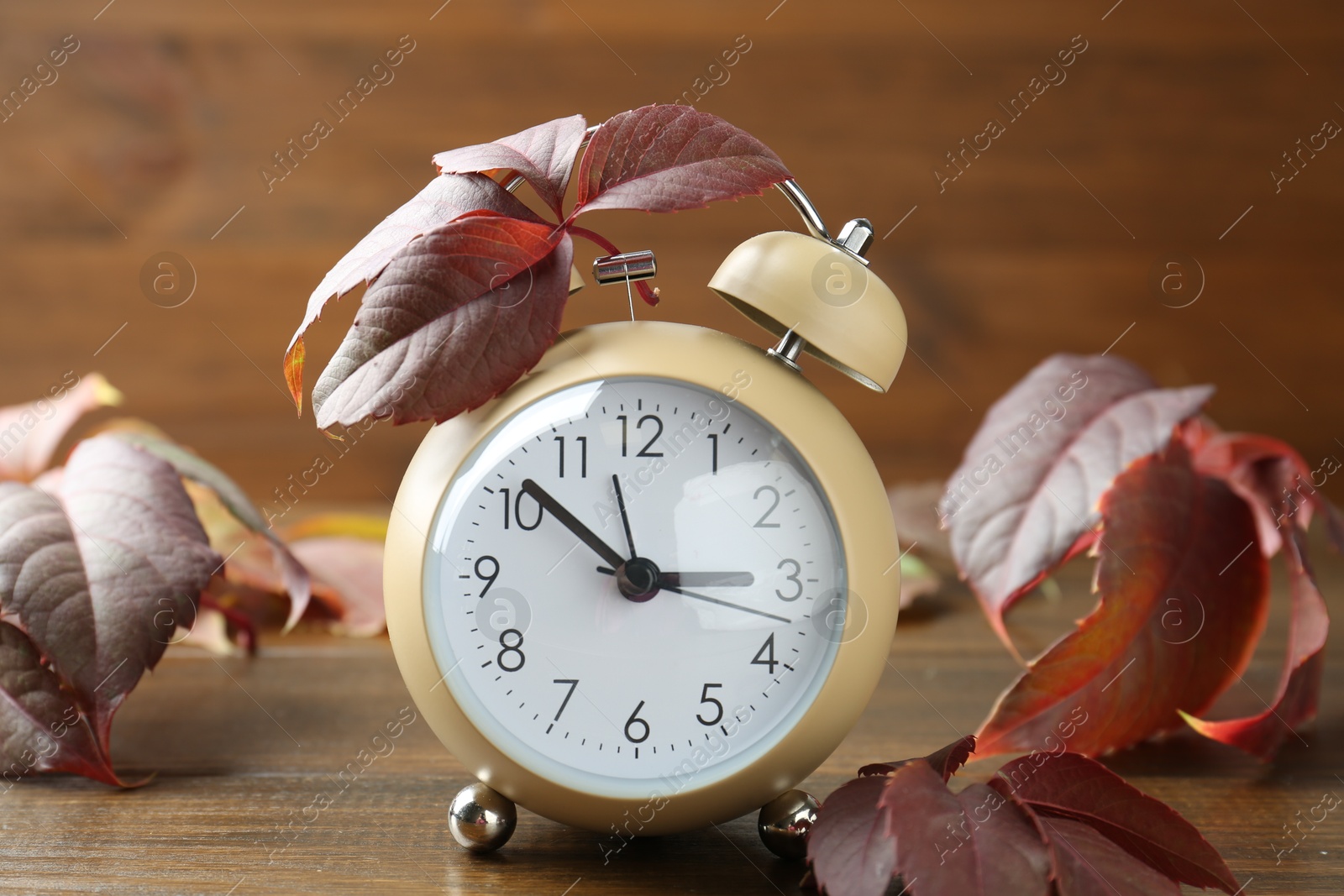 Photo of Autumn time. Alarm clock among leaves on wooden table, closeup