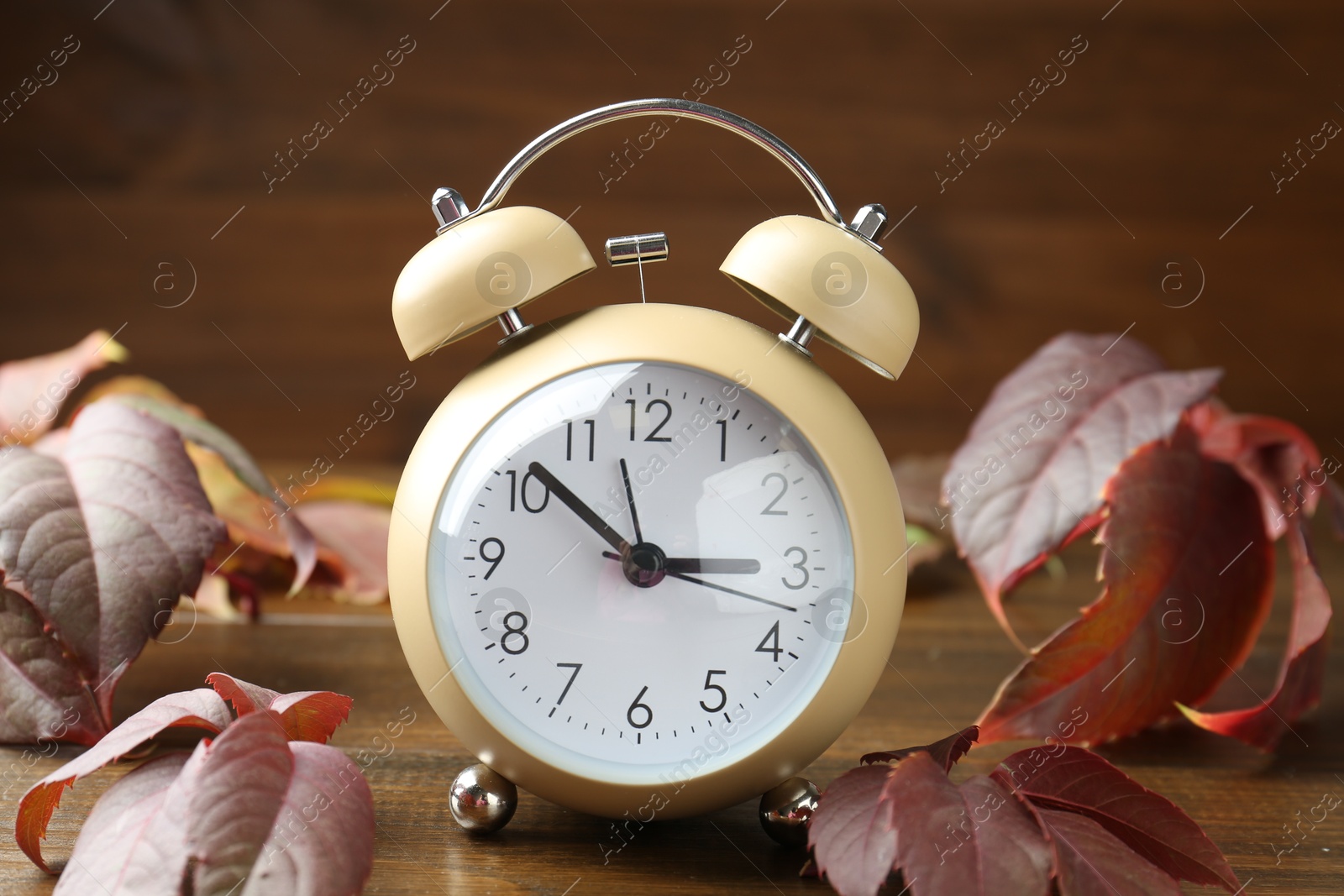 Photo of Autumn time. Alarm clock among leaves on wooden table, closeup