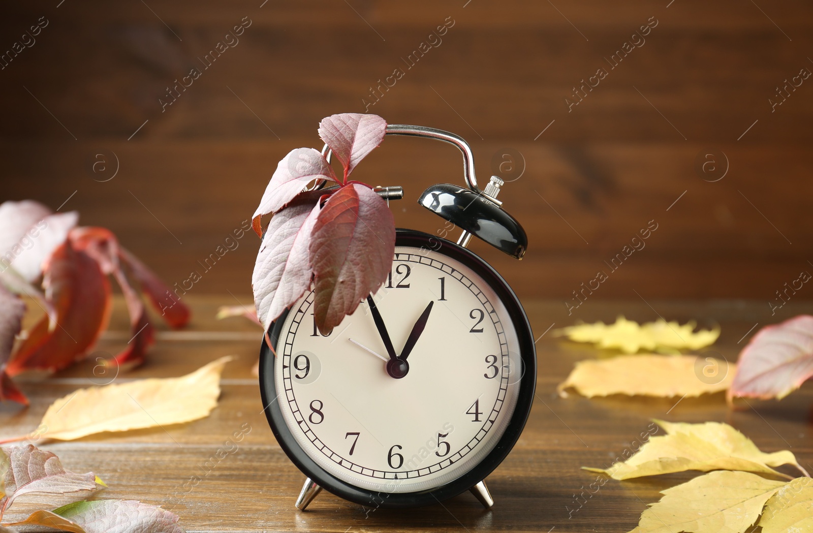 Photo of Autumn time. Alarm clock among leaves on wooden table, closeup