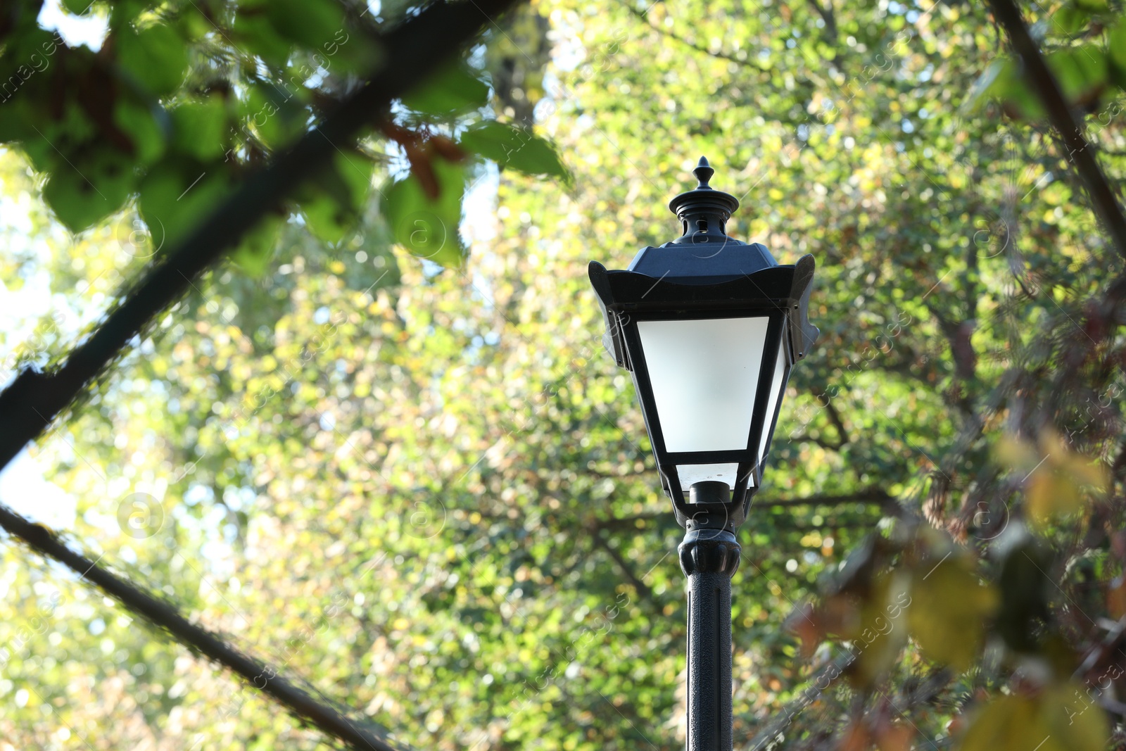 Photo of Old fashioned street lamp near trees in park