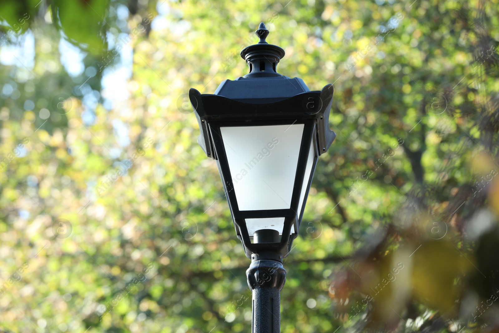 Photo of Old fashioned street lamp near trees in park