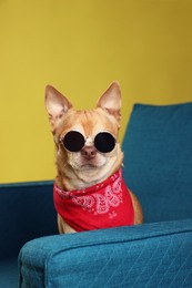 Photo of Cute Chihuahua dog with sunglasses and red neckerchief on armchair against golden background, closeup