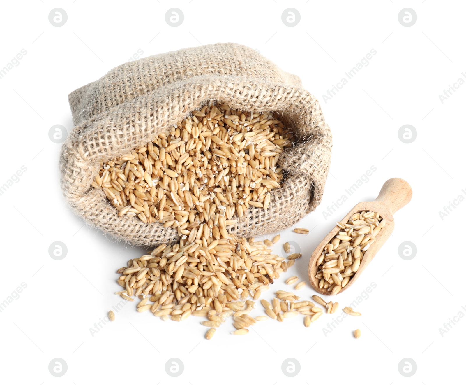 Photo of Overturned sack with oat grain and scoop isolated on white