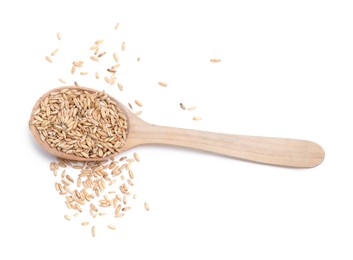 Oat grains in spoon isolated on white, top view