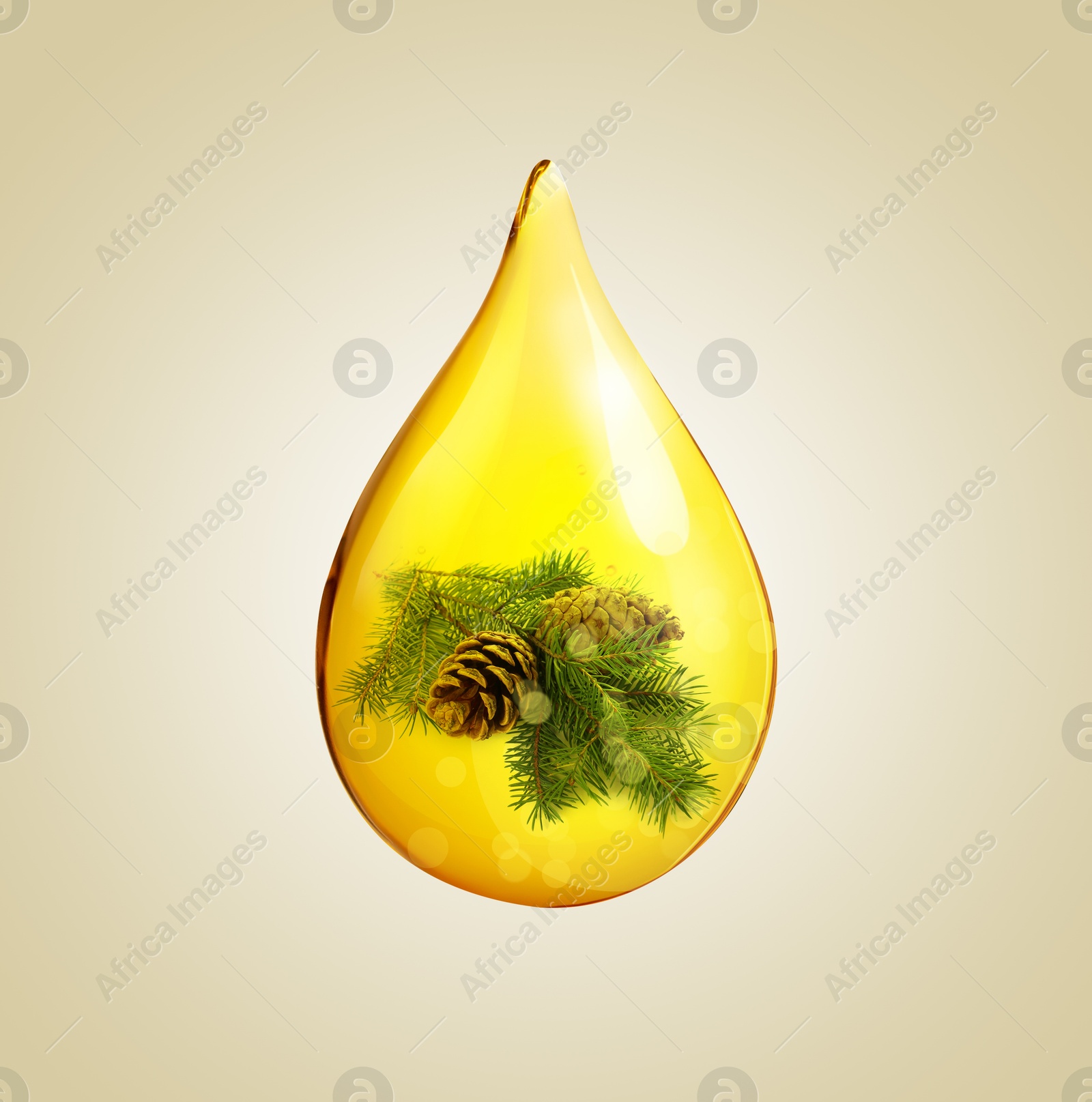 Image of Conifer essential oil drop with fir tree branch inside on beige background