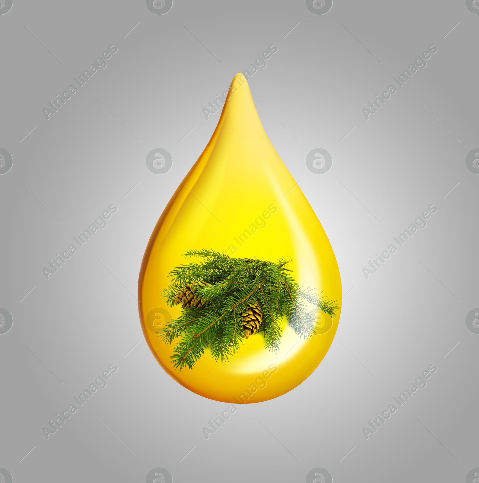 Image of Conifer essential oil drop with fir tree branch inside on grey background