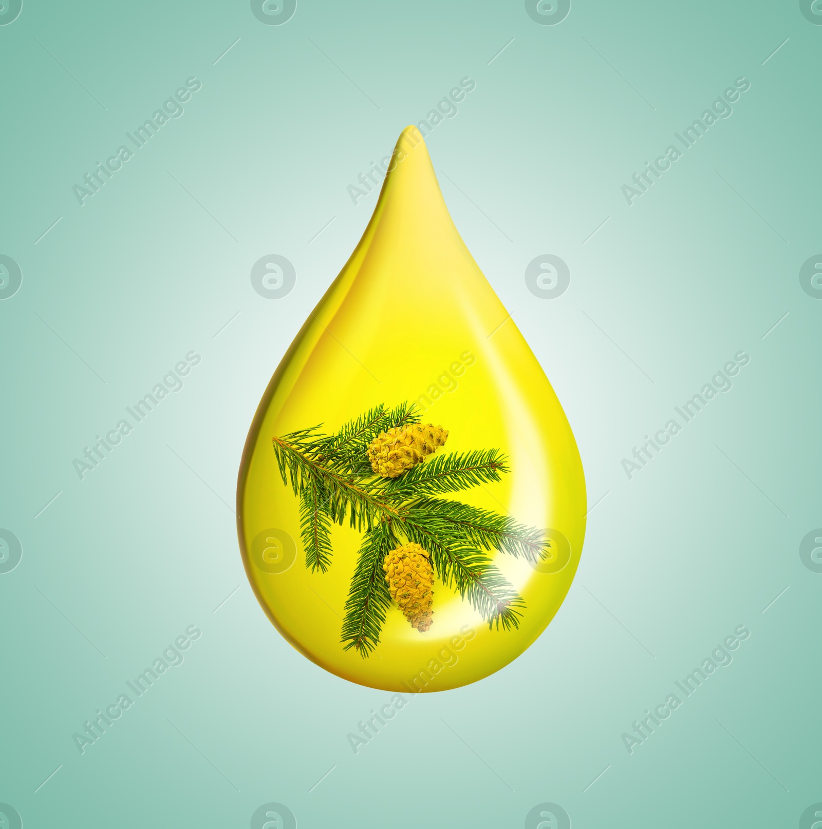 Image of Conifer essential oil drop with fir tree branch inside on turquoise background