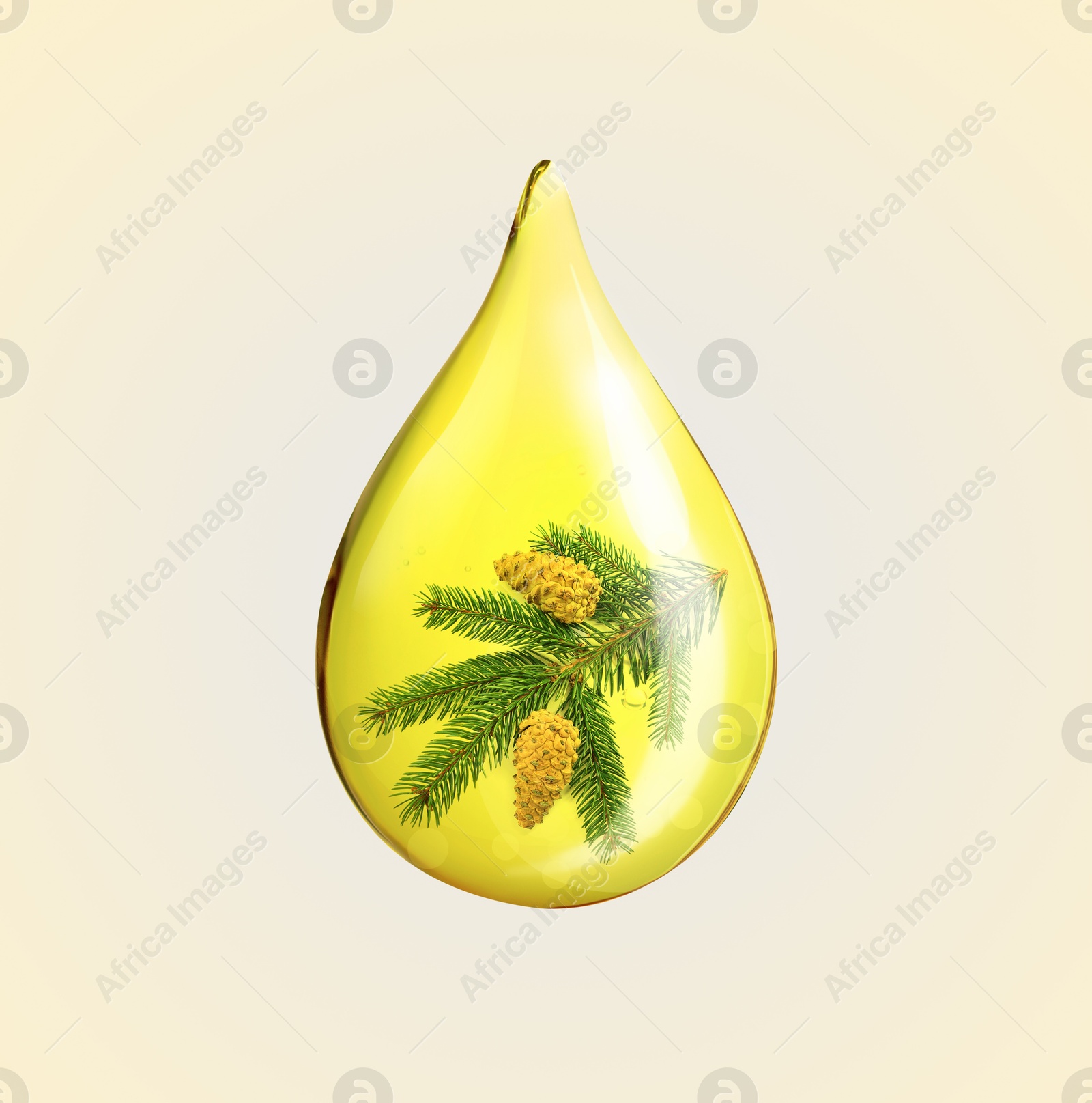 Image of Conifer essential oil drop with fir tree branch inside on beige background