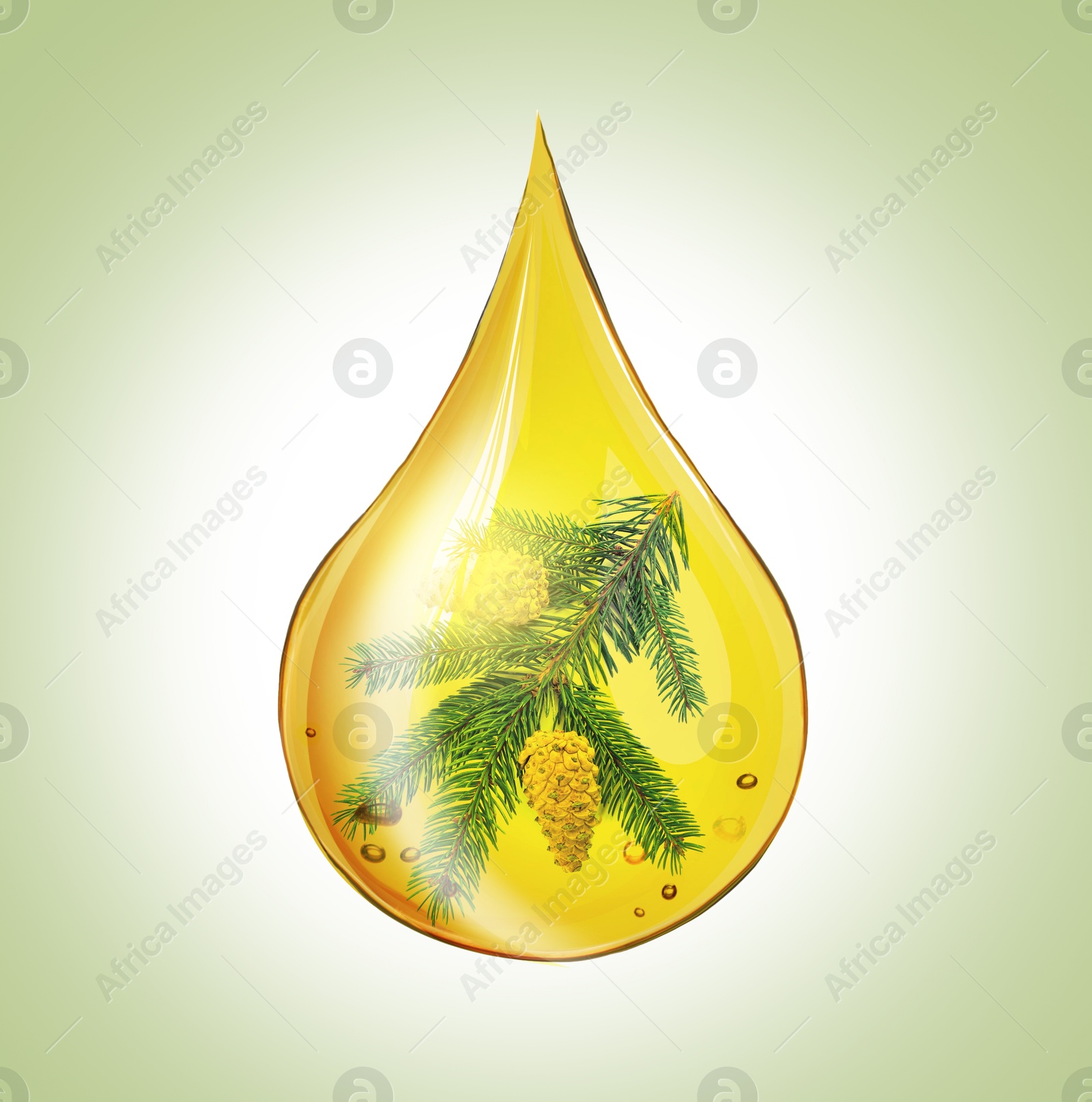 Image of Conifer essential oil drop with fir tree branch inside on pale green background