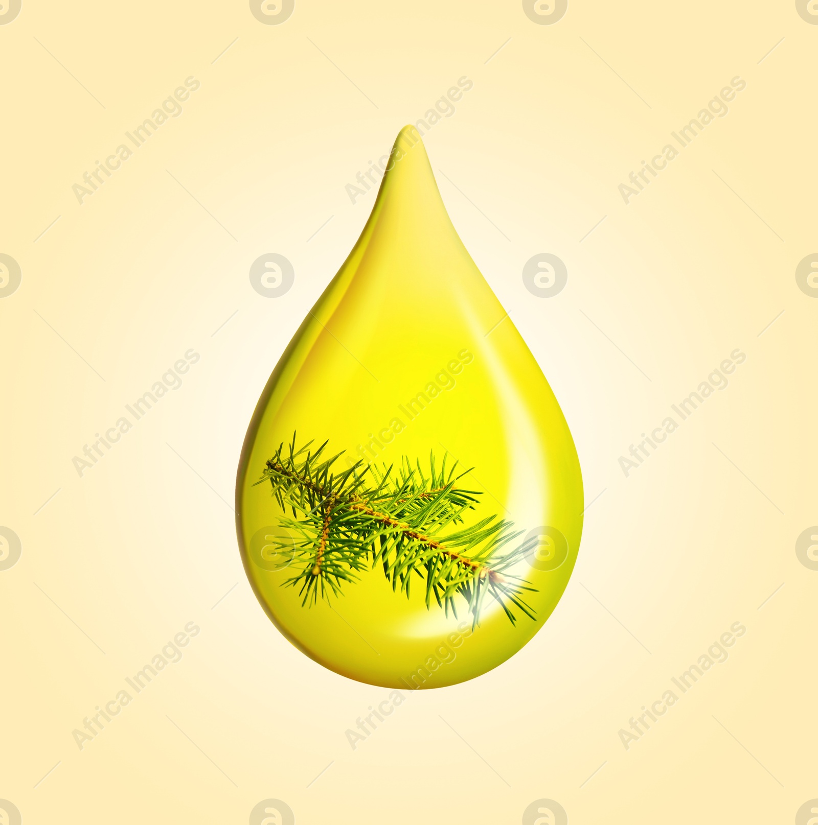 Image of Conifer essential oil drop with fir tree branch inside on pale orange background