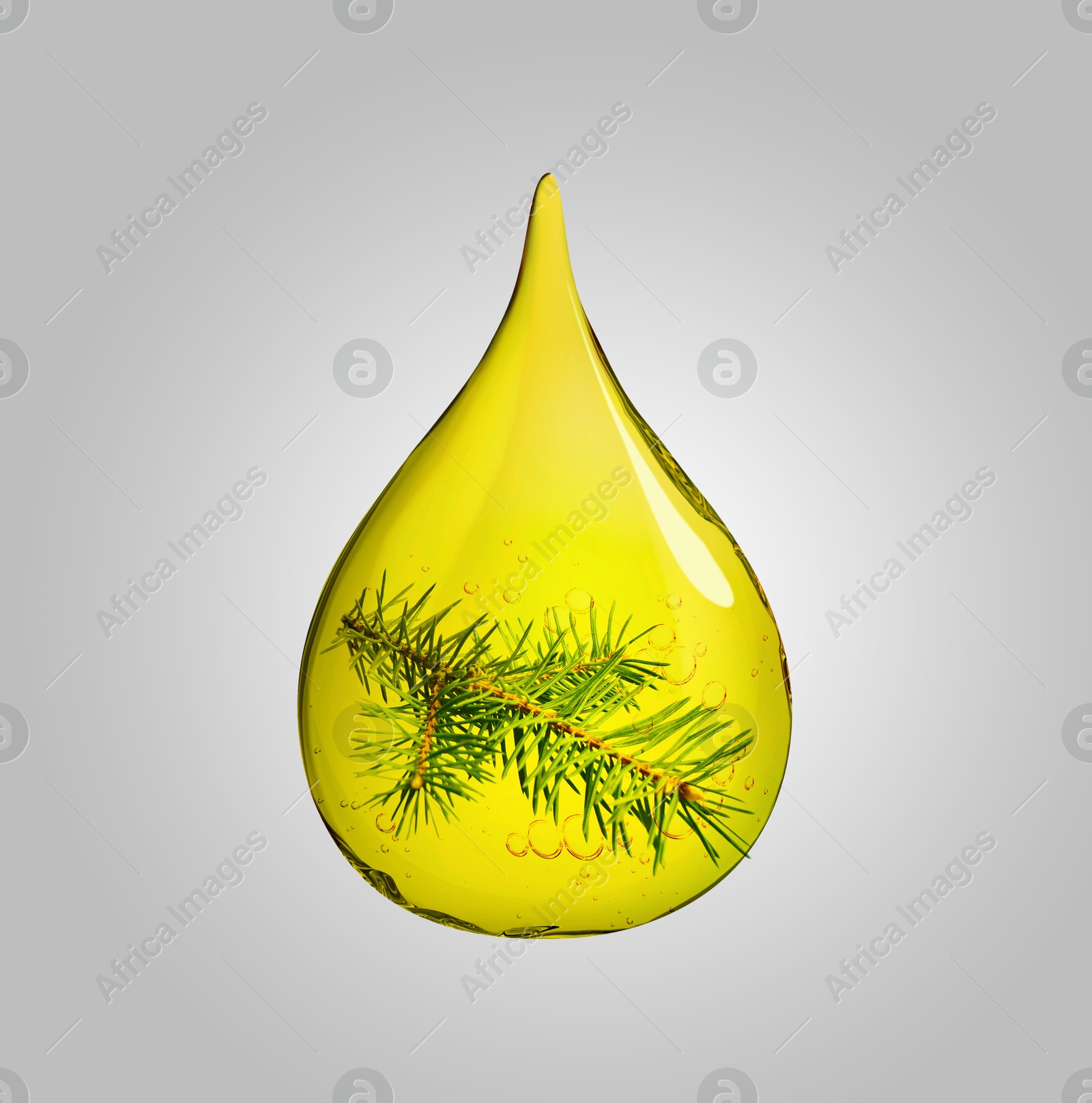 Image of Conifer essential oil drop with fir tree branch inside on grey background