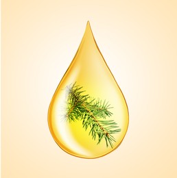 Image of Conifer essential oil drop with fir tree branch inside on pale orange background