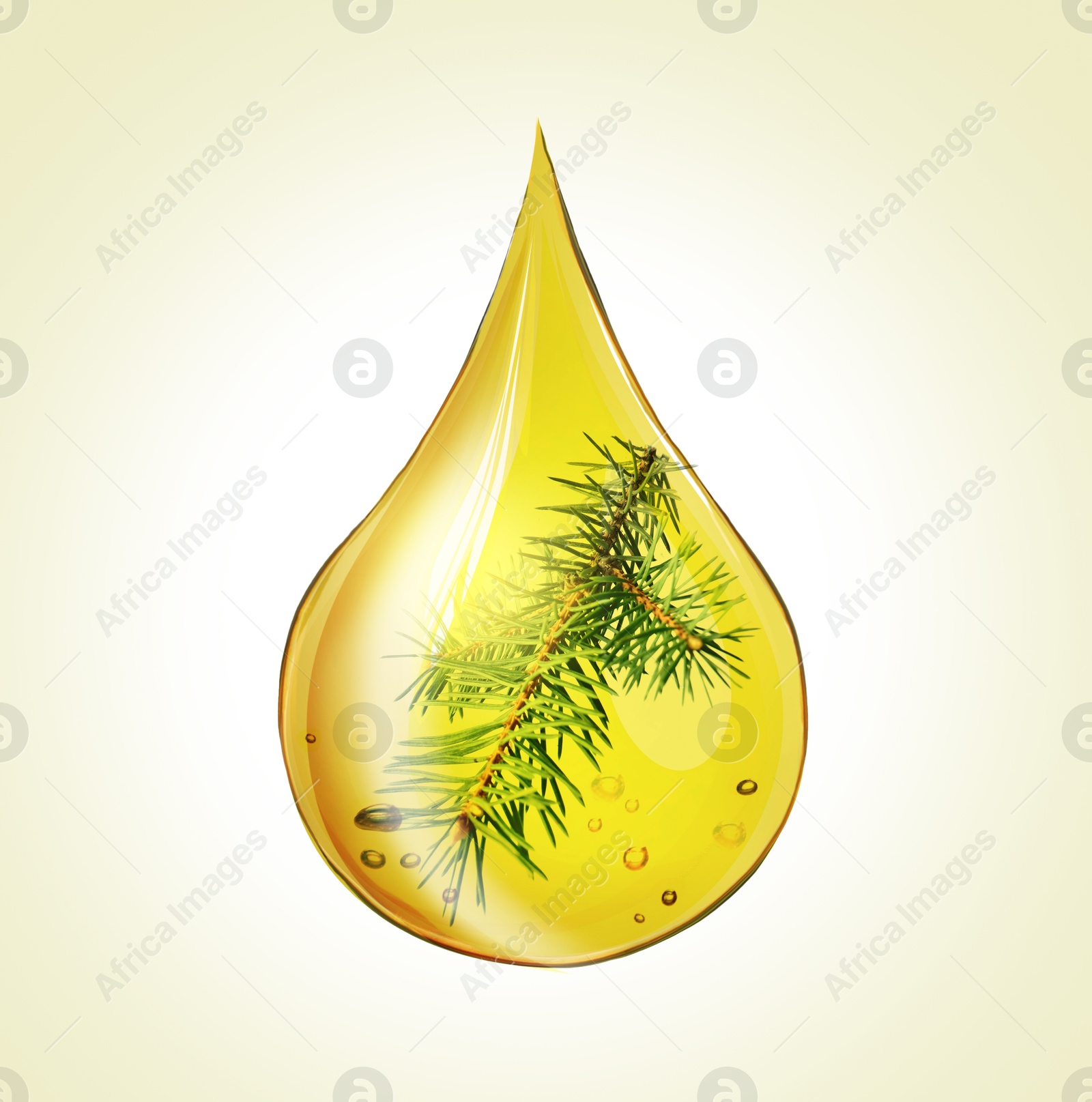 Image of Conifer essential oil drop with fir tree branch inside on beige background