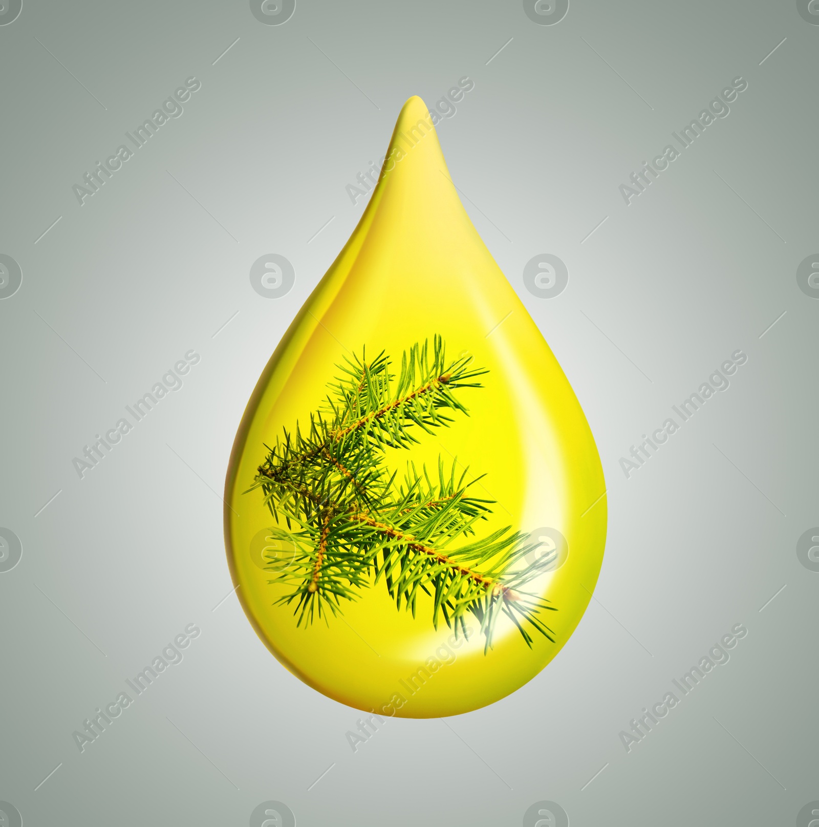 Image of Conifer essential oil drop with fir tree branch inside on grey background