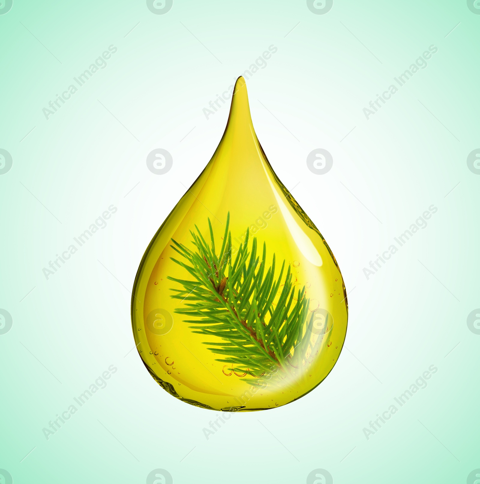 Image of Conifer essential oil drop with pine tree branch inside on light turquoise background