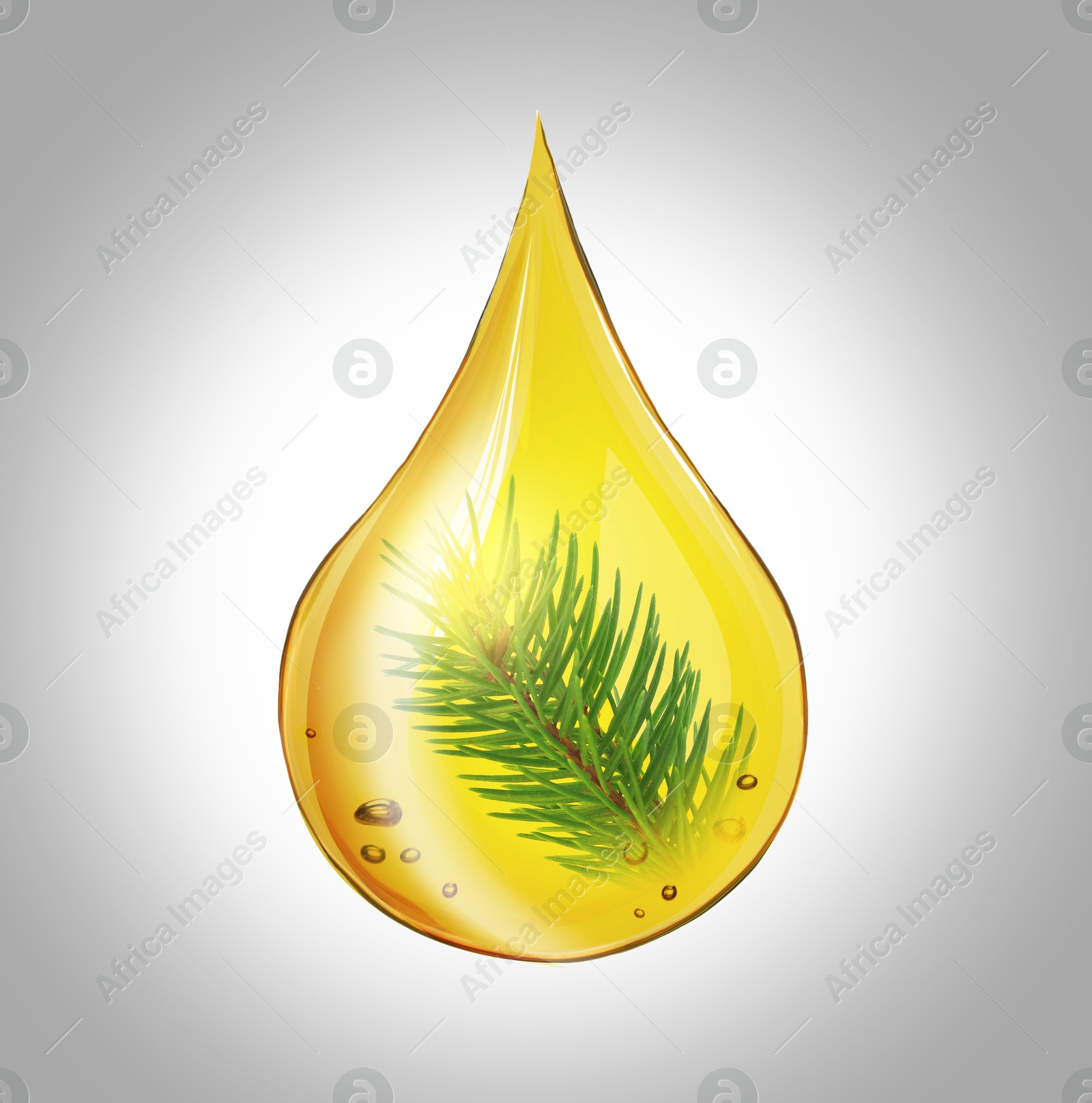 Image of Conifer essential oil drop with pine tree branch inside on light grey background