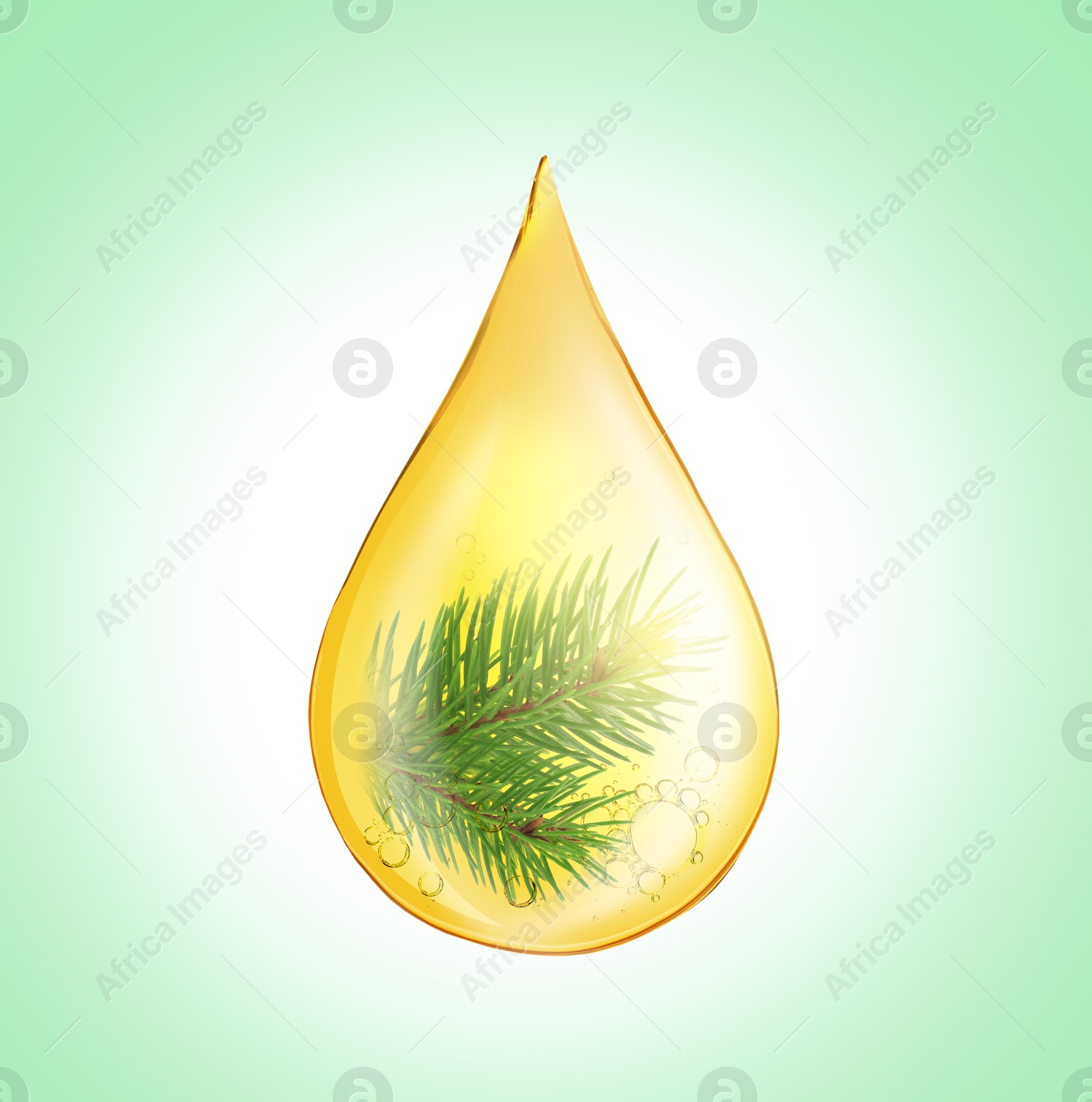 Image of Conifer essential oil drop with pine tree branch inside on aquamarine color background